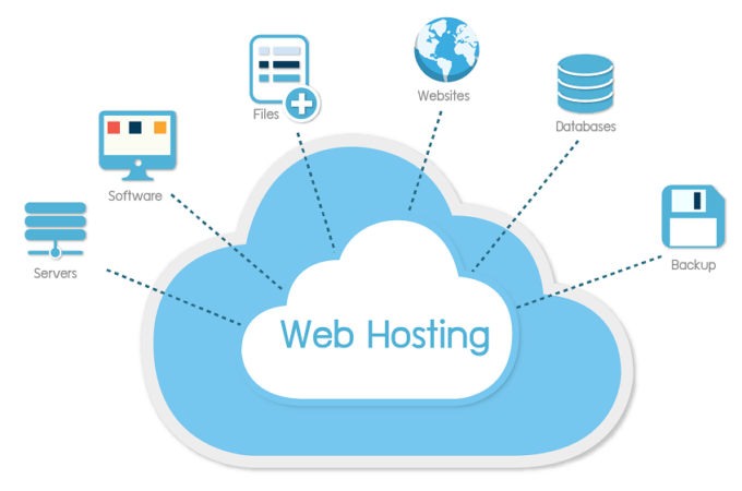 Why Bitcoin hosting is the best way to host websites?